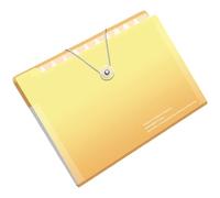 Classeur extensible avec 12 compartiments, format de lettres, organiseur de documents, organiseur de dossiers à compartiments hydrofuges avec fermeture élastique, poche de rangement portable