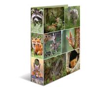 HERMA Motif classeur à levier A4 Animaux de la foret, dos de 7 cm, en carton robuste, imprimé entièrement à l'extérieur et à l'intérieur