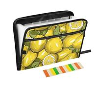 Classeur multi-citrons avec poche 13 poches format A4 lettre avec fermeture éclair pour dossiers d'affaires grands dossiers carpetas de