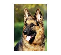 Classic 1000 Piece Jigsaw Puzzle for German Shepherd Dogs Suitable for Wall Art Home Decor Decor Gift 38x26cm