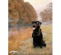 Classic 1000piece Puzzle Black Labrador Digital Crafts Suitable for Home Wall Decoration and Gift 38x52cm