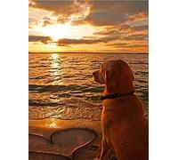 Classic 1500piece Puzzle for Dogs, Love Art, Animals, Suitable for Bedroom, Living Room, Office Decoration Gift, 57x87cm