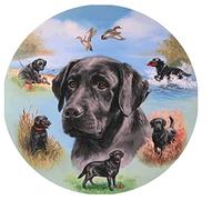 Classic 2000piece Jigsaw Puzzle Black Labrador Suitable for Wall Art Home Decor Decoration Gift 70x100cm
