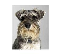 Classic 2000piece Jigsaw Puzzle Miniature Schnauzer Art Craft Suitable for Home Wall Decoration Decorative Gift 70x100cm