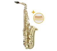 Saxophone Saxo Alto Instrument a Vent en Laiton Brossé Set Coffre et 10x anches