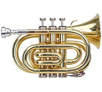 Classic Cantabile Brass TT-400 Trompette De Poche (Laiton, Pavillon Diamètre : 93 mm, Perce : 11,8 mm, Accord : Sib, incl. Étui léger, Embouchure, Chiffon, Gants) Vernis Clair