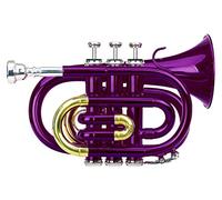 Classic Cantabile Brass TT-400 Trompette de Poche Sib (laiton, pavillon diamètre : 93 mm, perce : 11,8 mm, accord : Sib, incl. étui léger, embouchure, chiffon de nettoyage, gants) violet