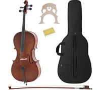 Classic Cantabile CP-100 Ensemble Violoncelle 1/2