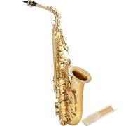 Classic Cantabile Winds AS-450 Es Saxophone Alto - Accord Eb - Clé de Fa# aigu - Pack Économique incluant 10 Anches de Saxophone