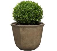 Classic Home and Garden Planter, Terre, Shaina 38,1 cm