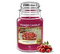 CLASSIC LARGE JAR CRANBERRY CHUTNEY - AMZ-EXCL