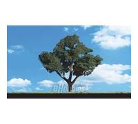 Classics Tree, Cool Shade 8-9 (2) G