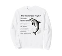 Classification taxonomique du Grand Dauphin Sweatshirt