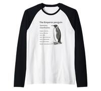 Classification taxonomique du Pingouin Empereur Manche Raglan