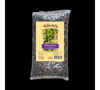 Classique Bird Mélange de graines sauvages sans millet 2,5kgx4 dans un seau