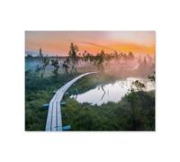 Classique Puzzle Adulte 1000 Pièces Paysage Puzzle en Bois，Lever du Soleil sur Un marécage Brumeux, Parc National de Kemeri, Lettonie，DIY Cadeaux De Noël Décor À La Maison（75x50cm）-R7
