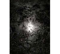 Claude Lévêque : Hymne à la joie - Agnès B. - Couleurs Contemporaines - relié - Beau livre