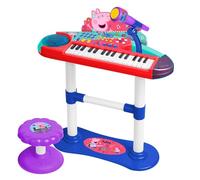Claudio Reig Organe With Microphone Stand And Bench