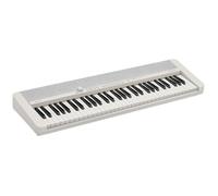Casio CT-S1WE