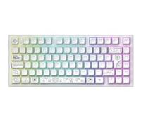 Dark Project Clavier mécanique sans fil ALU81A TERRA NOVA – Hot-Swap, G3MS Moonstone, Aluminium 75%