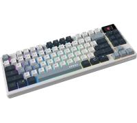 Clavier Sans fil Bluetooth/RF MSI FORGE GK600 TKL WIRELESS SKY, Gris/LED _ S11-43FRP01-HH9