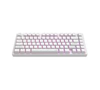 Clavier mécanique - DARK PROJECT - ALU Terra Nostra - Blanc - PBT durable - Personnalisation logicielle