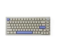 Clavier mécanique de Jeu A75 TKL avec Un Interrupteur magnétique Hyper Rapide et des lumières RVB compactes 82 Systèmes(PBT-Grey)