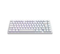 Clavier mécanique de jeu - DARK PROJECT - ALU Terra Nostra - Blanc - PBT durable - Interchangeable à chaud