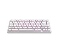Clavier mécanique de jeu DARK PROJECT ALU Terra Nostra (ENG) [ANSI], Blanc