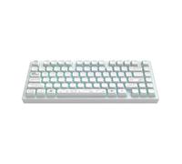 Dark Project Aluminium Terra Nova Blanc (ENG) [ANSI] - Clavier de jeu mécanique, sans fil et avec USB, touches multilingues, RVB, G3MS Moonstone, remplaçable à chaud, stabilisateurs de graisse,