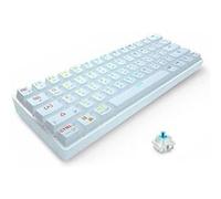 Clavier mécanique DK61 2.4G sans fil et Bluetooth 61 touches Rétroéclairé coloré Interrupteur bleu -blanc