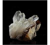 CLAVILITHES PARISIENSIS - Pierre Naturelle en Provenance de France, Damery, Marne - Fossile d'Éocène Lutétien, Collection de Minéraux 168.50 ct - Certificat d'Authenticité Inclus 72 x 30 x 30 mm G