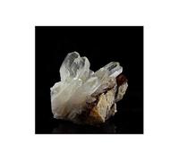 CLAVILITHES PARISIENSIS - Pierre Naturelle en Provenance de France, Damery, Marne - Fossile d'Eocène Lutétien, Collection de Minéraux 168.50 ct -