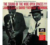 Clay,James - Sound of The Wide Open Spaces [Import]