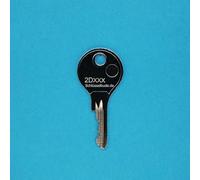 Clé de rechange profil 2D pour serrures à levier DOM et boîtes aux lettres. Clé 2D151