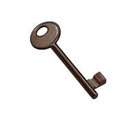 Clé de serrure AGB patent couleur bronze chiffrement n°7. Ouvre toutes les serrures de brevet AGB N.7