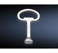 Clé pour armoires de Distribution panneton Double Rittal 2549.600 Acier 1 pc(s)