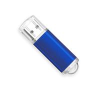 Clé USB 100 avec gratuit,clé USB,clé USB,4 Go,8 Go,2.0 Mo,1 Go,2 Go,16 Go,32 Go,64 Go,disque U,lot de 128 pièces - Type Blue-100PCS-256MBx100PCS #A