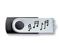 Clé USB 8 Go, Noir et Acier chromé, pivotant, avec Notes de Musique dessinées, Cadeau de Musique