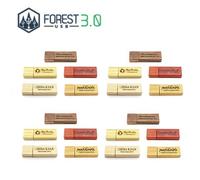 Clé USB Cadeau d'affaires (32 Go 3.0, Pack x20)