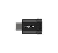 PNY Clé USB Elite-X Fit USB 3.2 Type-C Jusqu'à 200 Mo/s 256 Go