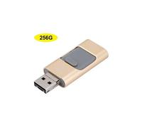 Clé USB grande capacité 256G trois-en-un mini-disque portable U pour interface Apple G