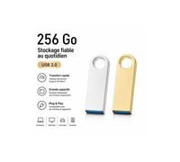 Clé USB / Mémoire flash - TECHTA - Lot de 2 (256 Go) - USB 2.0 - Boîtier métal - Plug & Play