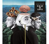 Clean Bandit - What is Love [Import]