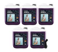 Cleanerist Black Lessive liquide pour 875 lavages foncés - 5 x 5 l de lessive liquide concentrée pour linge noir et foncé - Lessive XXL avec parfum frais pour 20-95 °C, au lieu de pods, poudre