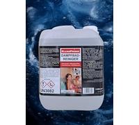 CleanPrince Nettoyeur Mouillé 5 Litre Hammam Produit de Nettoyage Hammam Notes Purs Liquides sans Acide Désinfection Sans Alcool Inodore