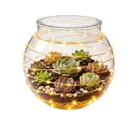 Clear Bowl Vase - Spherical Transparent Storage Jar | Air Plant Holder | Candy Jar, Planter, for Party Weekday Snack Serving Offices Bedroom Dorm Countertop Outdoor Flower Garden Grocery