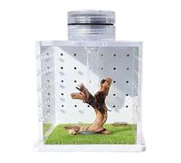 Clear Frog Tank Cage - Jumping Spider Terrarium | Petit habitat de Mantis en prière | Terrarium d'escargot - Boîte alimentaire avec humidificateur de lumière pour araignées et autres invertébrés
