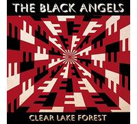 Clear Lake Forest