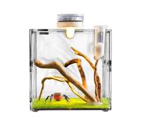 Clear Reptile Cage, Jumping Spider Growth Enclosure, Lightweight and Ventilated Habitat, Transparent Small Animal Breeding Box, for Turtles, Beetles, Snails, Lizards, Amphibians